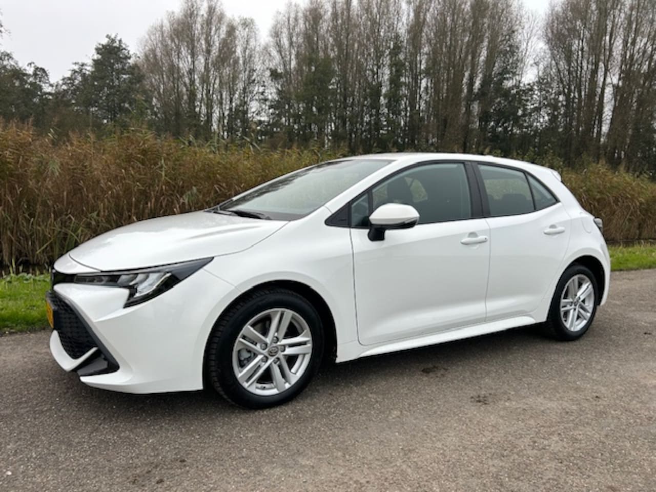 Toyota Corolla - 1.8 Hybrid 122pk CVT Business | Apple carplay / Android auto | Camera | cruise control | C - AutoWereld.nl