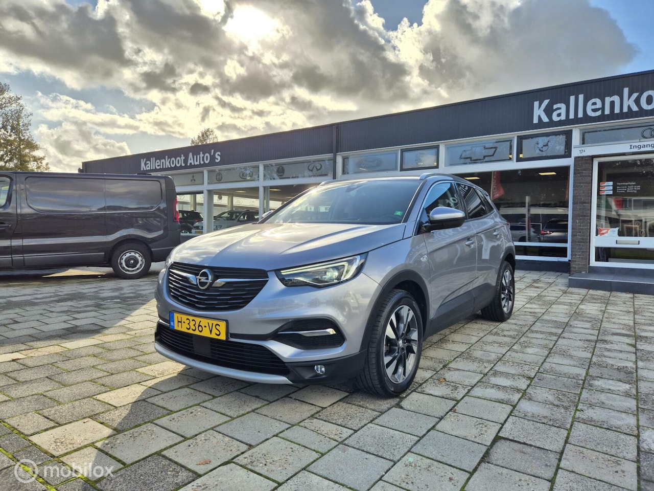 Opel Grandland X - 1.2 Turbo Business Executive 1.2 Turbo Business Executive, Full LED, NAP - AutoWereld.nl