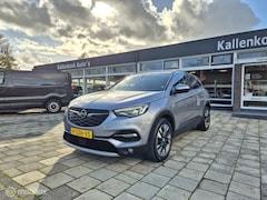 Opel Grandland X - 1.2 Turbo Business Executive, Full LED, NAP