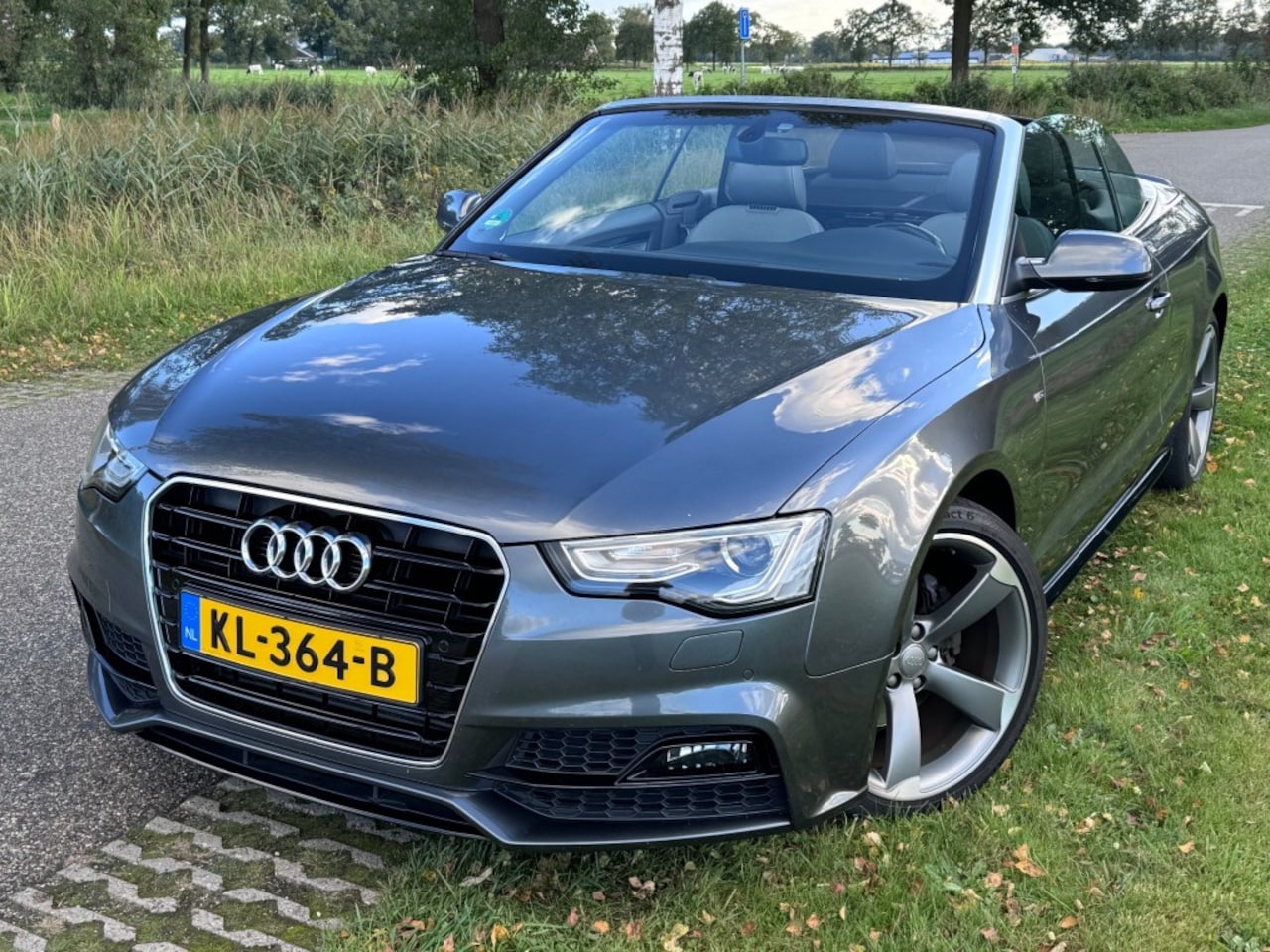 Audi A5 - 1.8 TFSI CABRIO / S LINE / 19 INCH / 142DKM - AutoWereld.nl