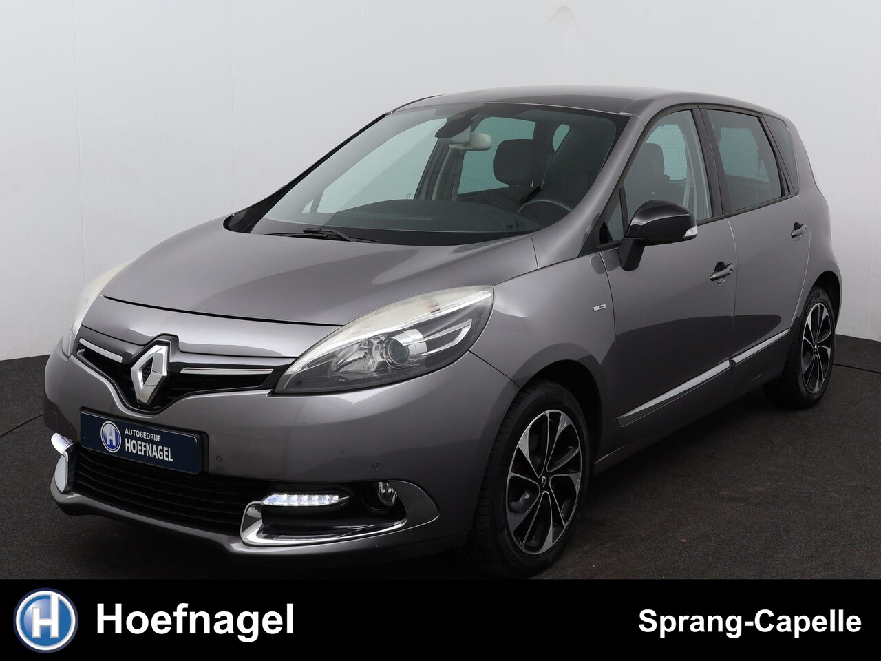 Renault Scénic - 1.2 TCe Bose | Camera | Cruise | Navi - AutoWereld.nl