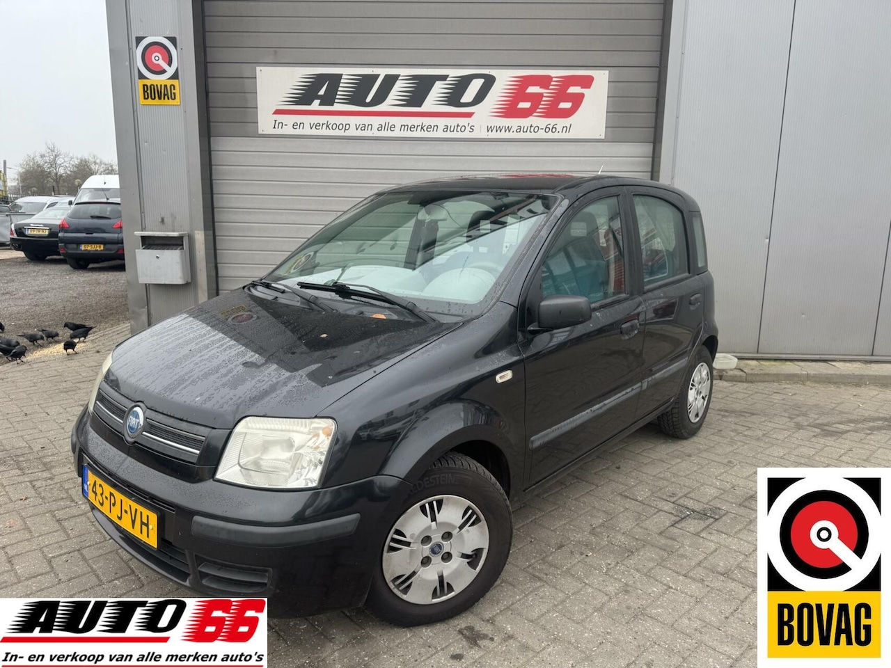 Fiat Panda - 1.2 Dynamic 1.2 Dynamic - AutoWereld.nl