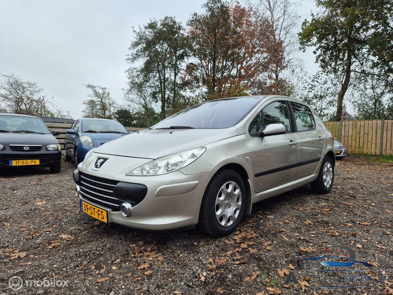 Peugeot 307 - 1.6-16V XT 1.6-16V XT - AutoWereld.nl