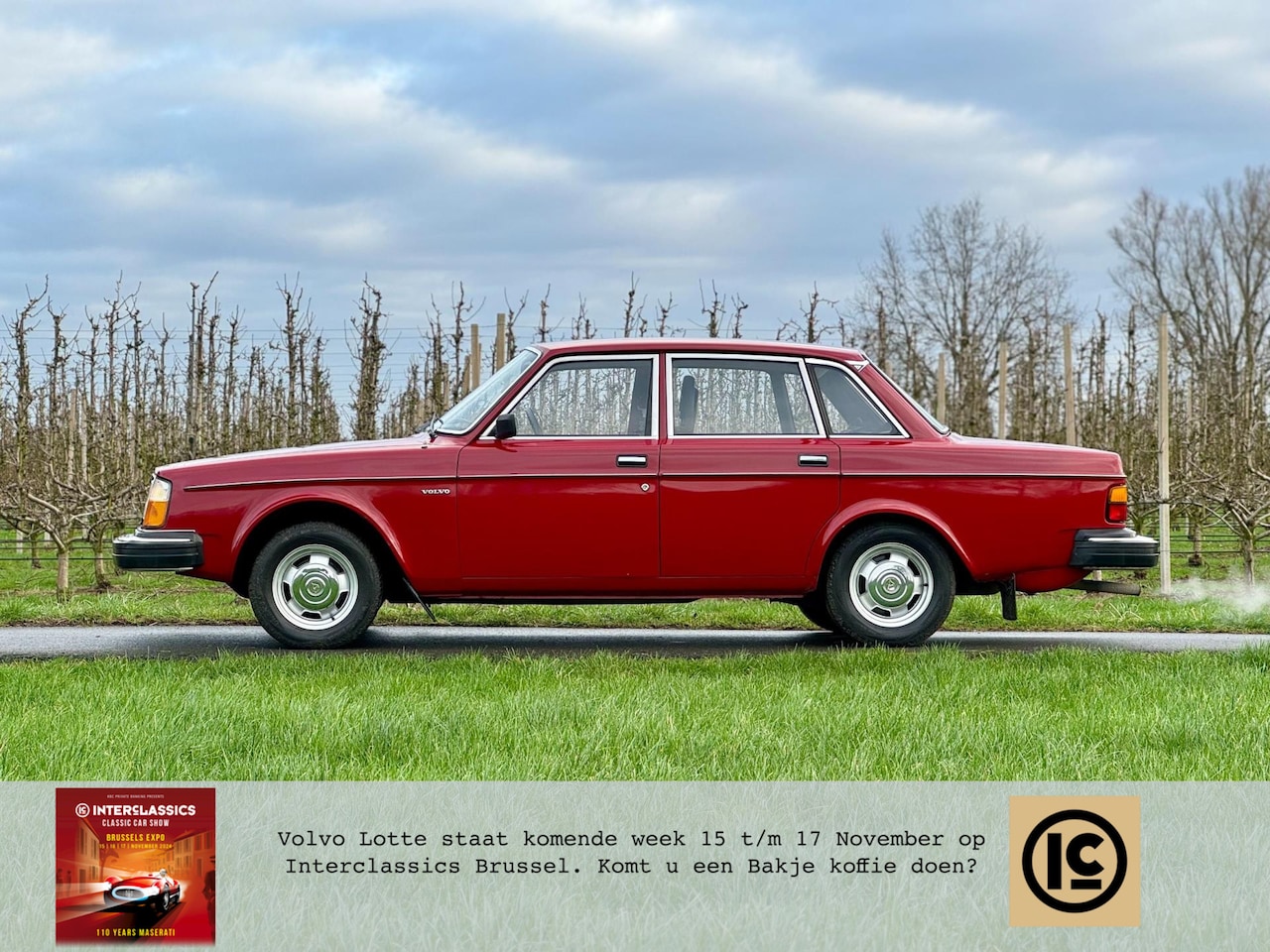 Volvo 244 - 2.1 DL Handbak, 137k km, unieke kleur - AutoWereld.nl