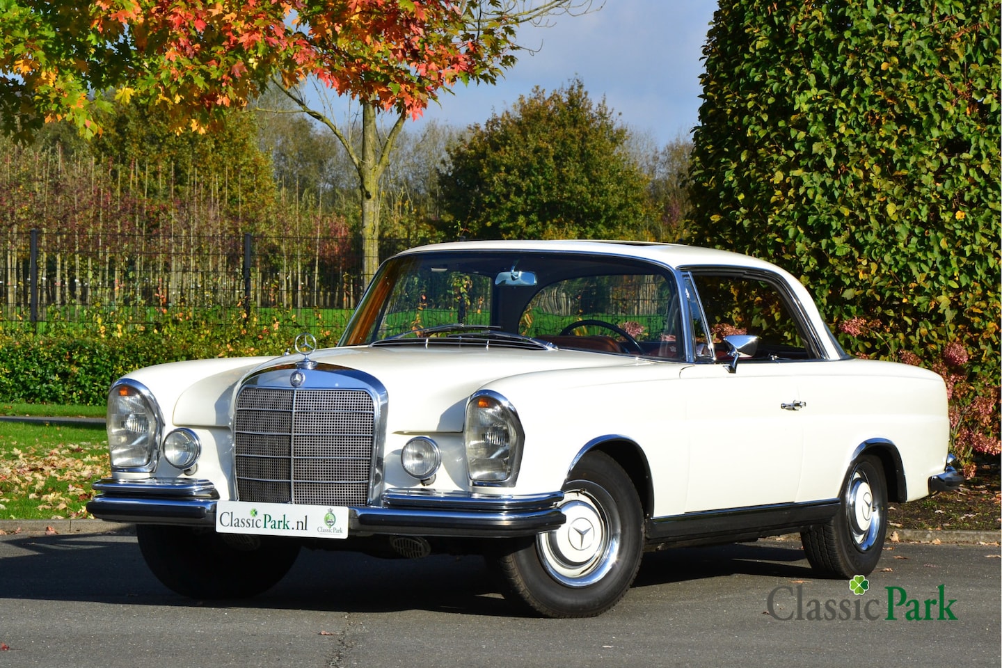 Mercedes-Benz 250 - SE Coupé - AutoWereld.nl