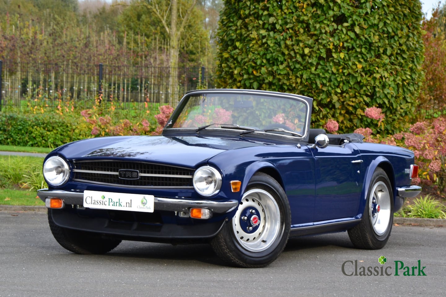 Triumph TR6 - AutoWereld.nl