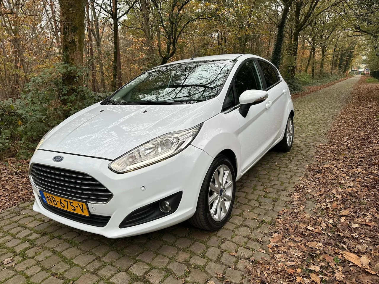 Ford Fiesta - 1.0 EcoBoost Titanium 1.0 EcoBoost Titanium - AutoWereld.nl