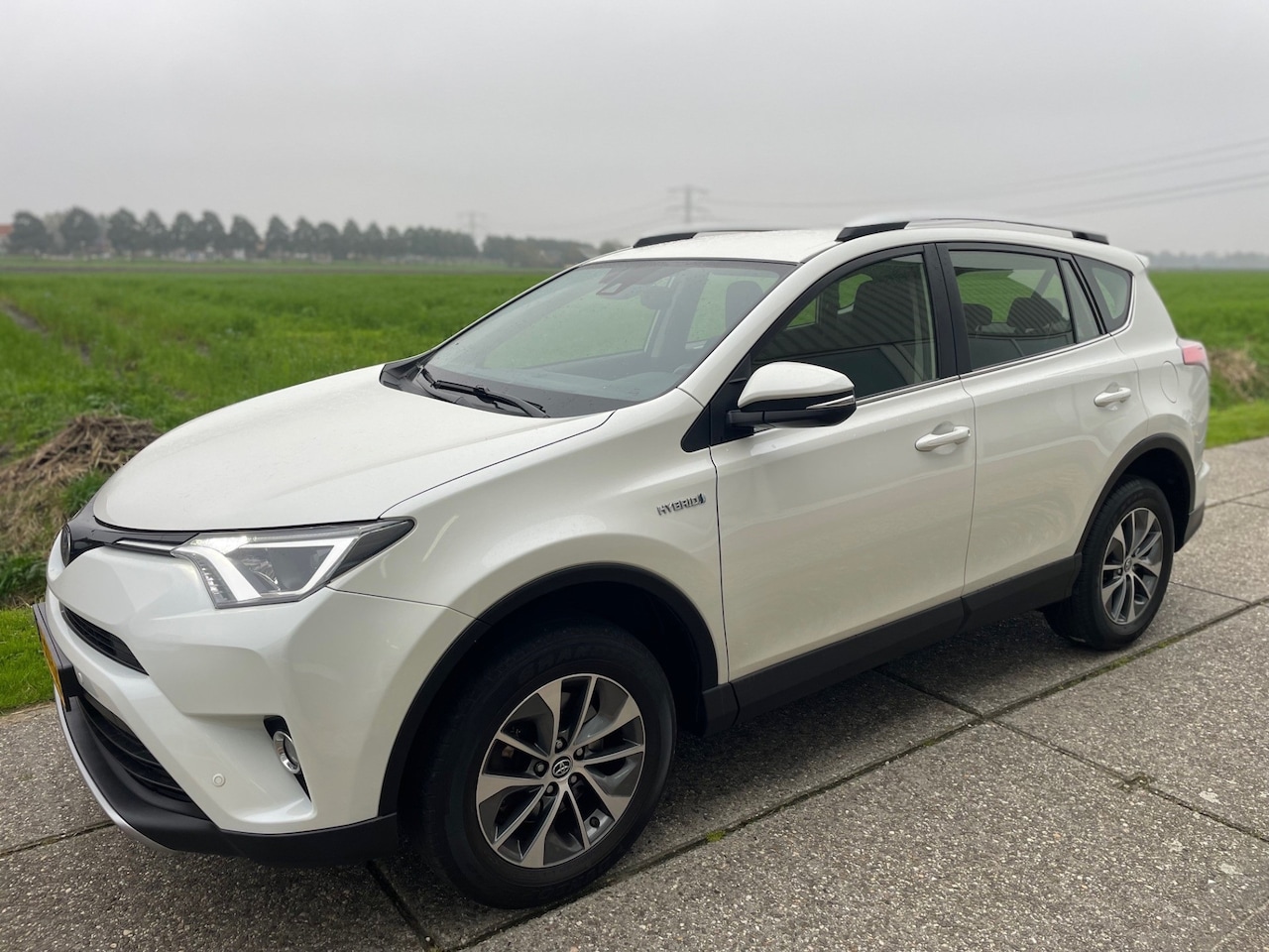 Toyota RAV4 - 2.5 Hybrid Dynamic 2.5 Hybrid Dynamic, BLIND SPOT WARNING SYSTEEM - AutoWereld.nl