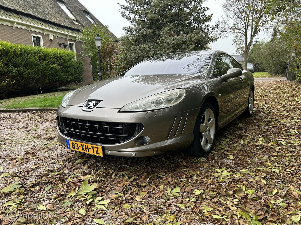 Peugeot 407 Coupé - 3.0-24V Pack 3.0-24V Pack - AutoWereld.nl