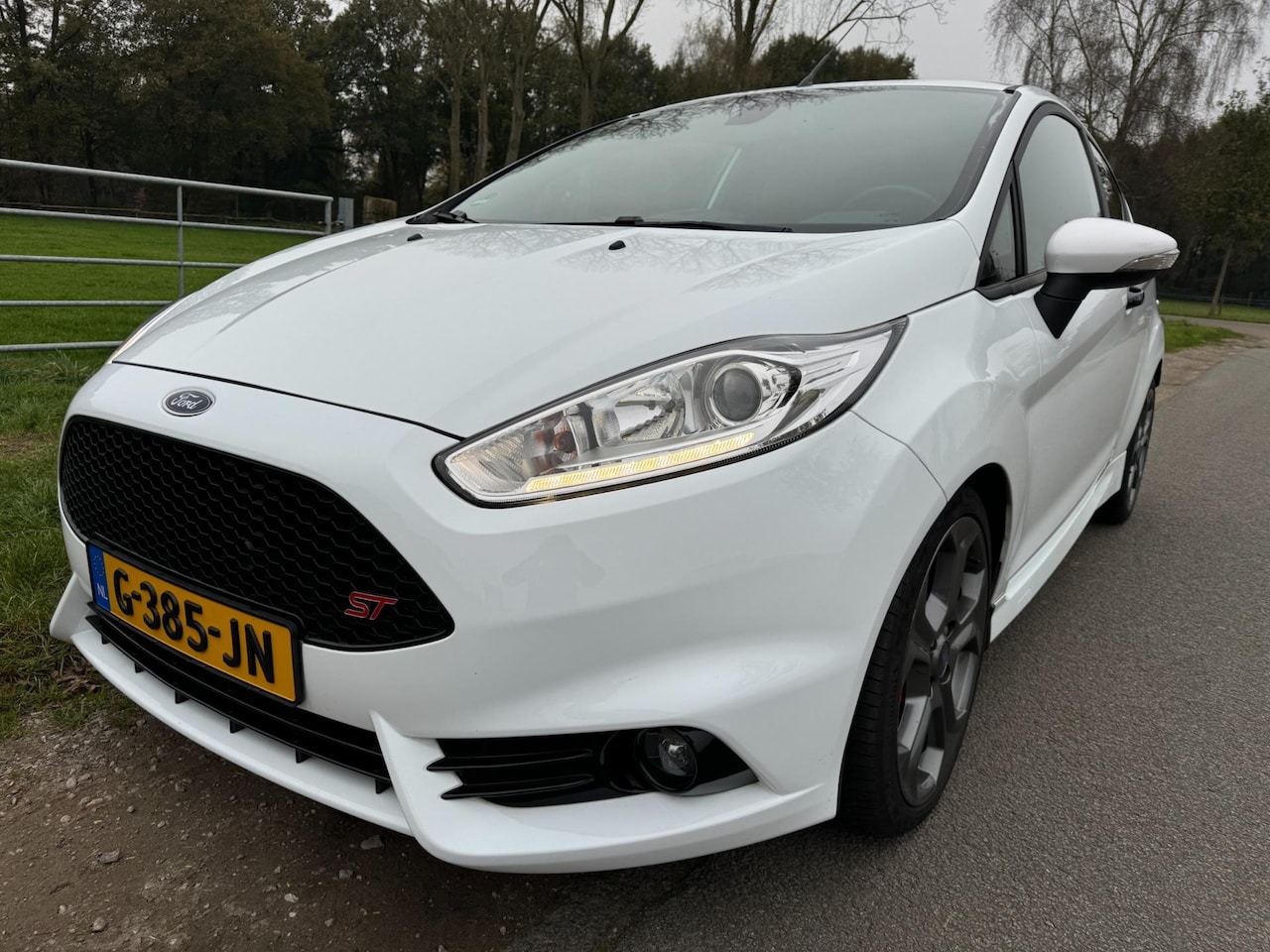 Ford Fiesta - 1.6 ST2 1.6 ST2 182PK, dealer onderhouden - AutoWereld.nl