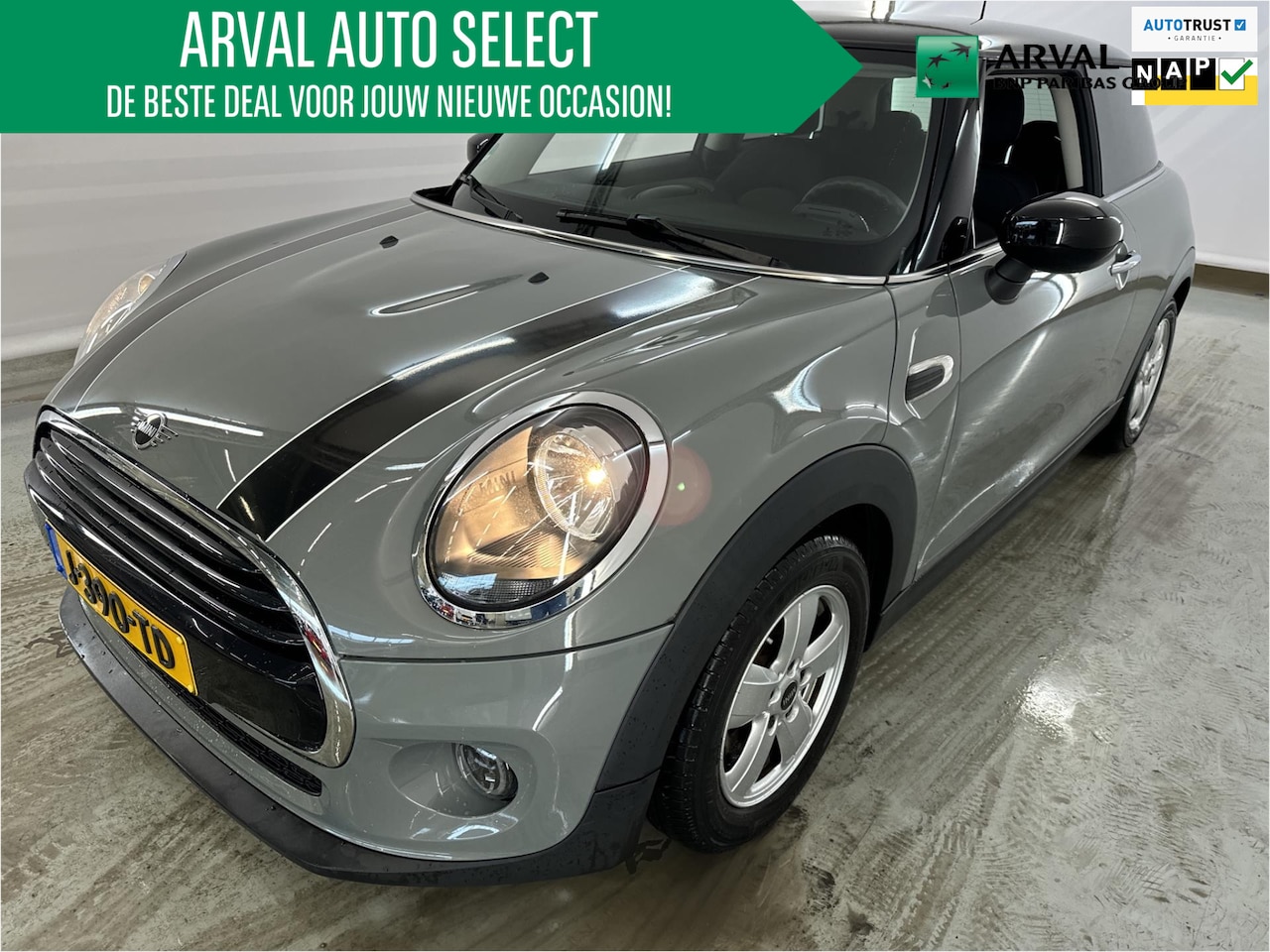 MINI Cooper - Mini 1.5 Salt 136 PK | 3-Deurs | Airco | WINTERPAKKET | getint glas | Two-tone | 1ste Eige - AutoWereld.nl