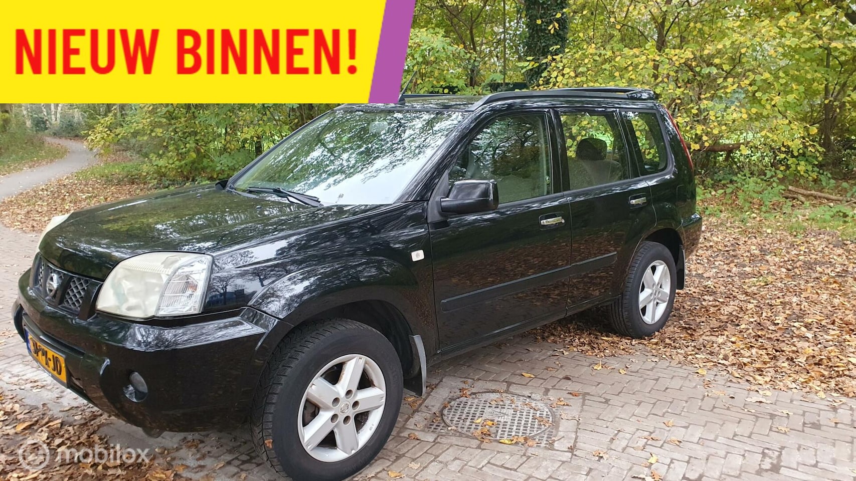 Nissan X-Trail - 2.5 Sport Outdoor/4 Wheel Drive/Autom/219Dkm - AutoWereld.nl