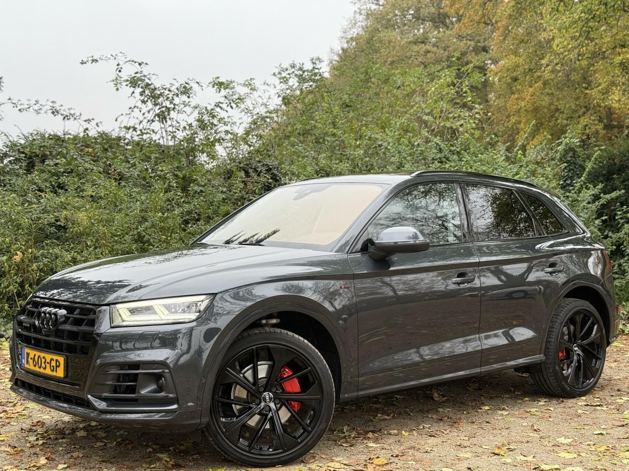 Audi Q5 SQ5 - 2.0 TFSI quattro Pro Line / PANO / S-Line / 21” SQ5 - AutoWereld.nl