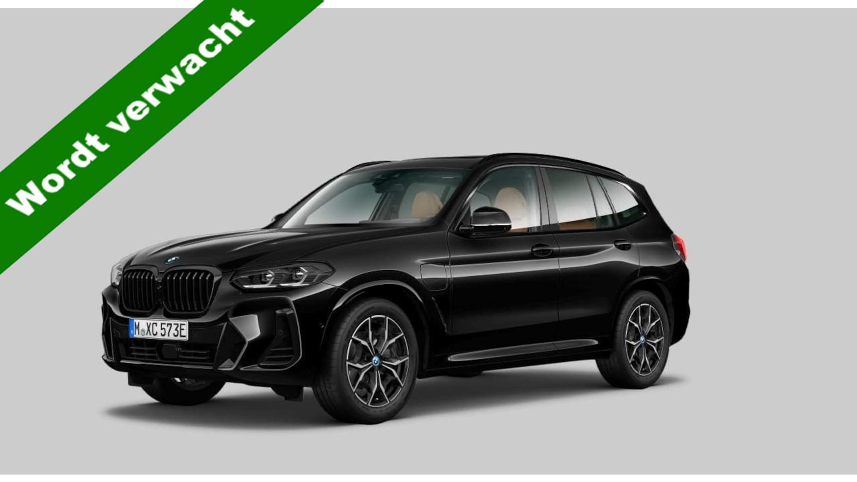 BMW X3 - xDrive30e M Sport | Panoramadak | Trekhaak | Leder | Head-up | Adapt-Led | - AutoWereld.nl