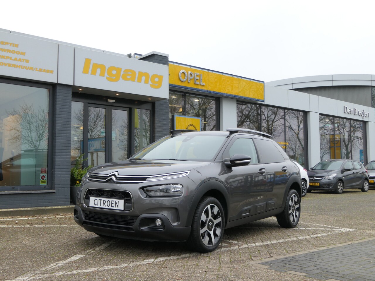 Citroën C4 Cactus - 1.2 PureTech Shine | Panoramadak | Camera | Park Pilot - AutoWereld.nl