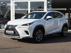 Lexus NX - 300h Business Line, Leer| Carplay| Adapp. Cruise