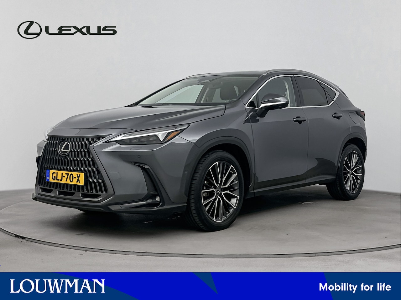 Lexus NX - 450h+ AWD Executive Line Limited | Schuifdak | Stoelgeheugen | Houtafwerking | 360 Graden - AutoWereld.nl