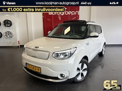 Kia e-Soul - EV Edition 30 kWh Navigatie, Stoelverwarming, Achteruitrijcamera, Climate control