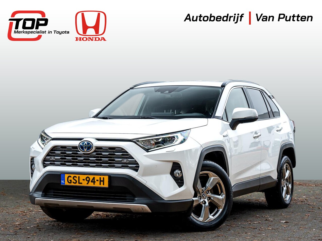 Toyota RAV4 - 2.5 Hybrid Executive Automaat AWD | Blind Spot Detection | Apple Carplay/ Android Auto | S - AutoWereld.nl