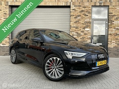 Audi e-tron - e-tron 55 quattro advanced Pro Line Plus 95 kWh