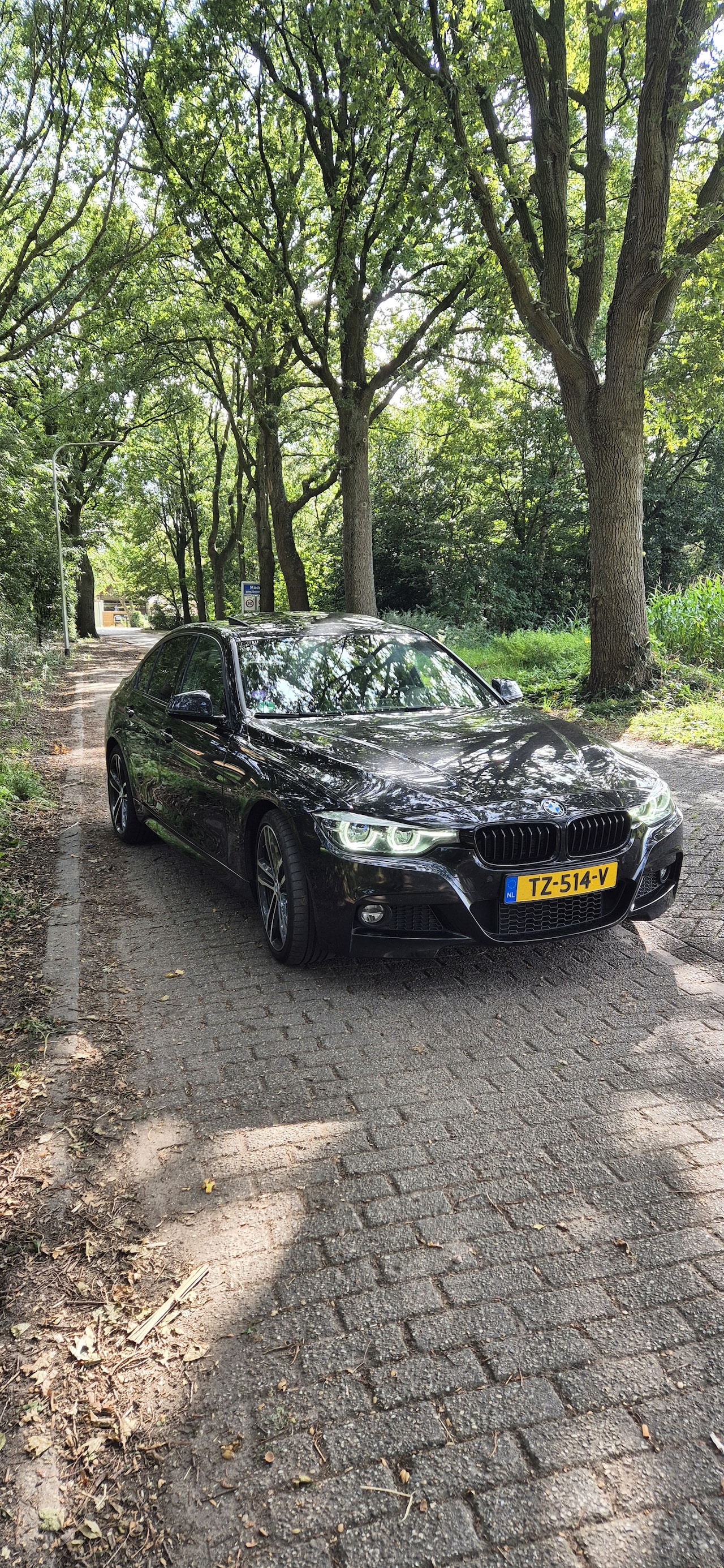 BMW 3-serie - 320i M Sport Edition Schuif/kanteldak - AutoWereld.nl