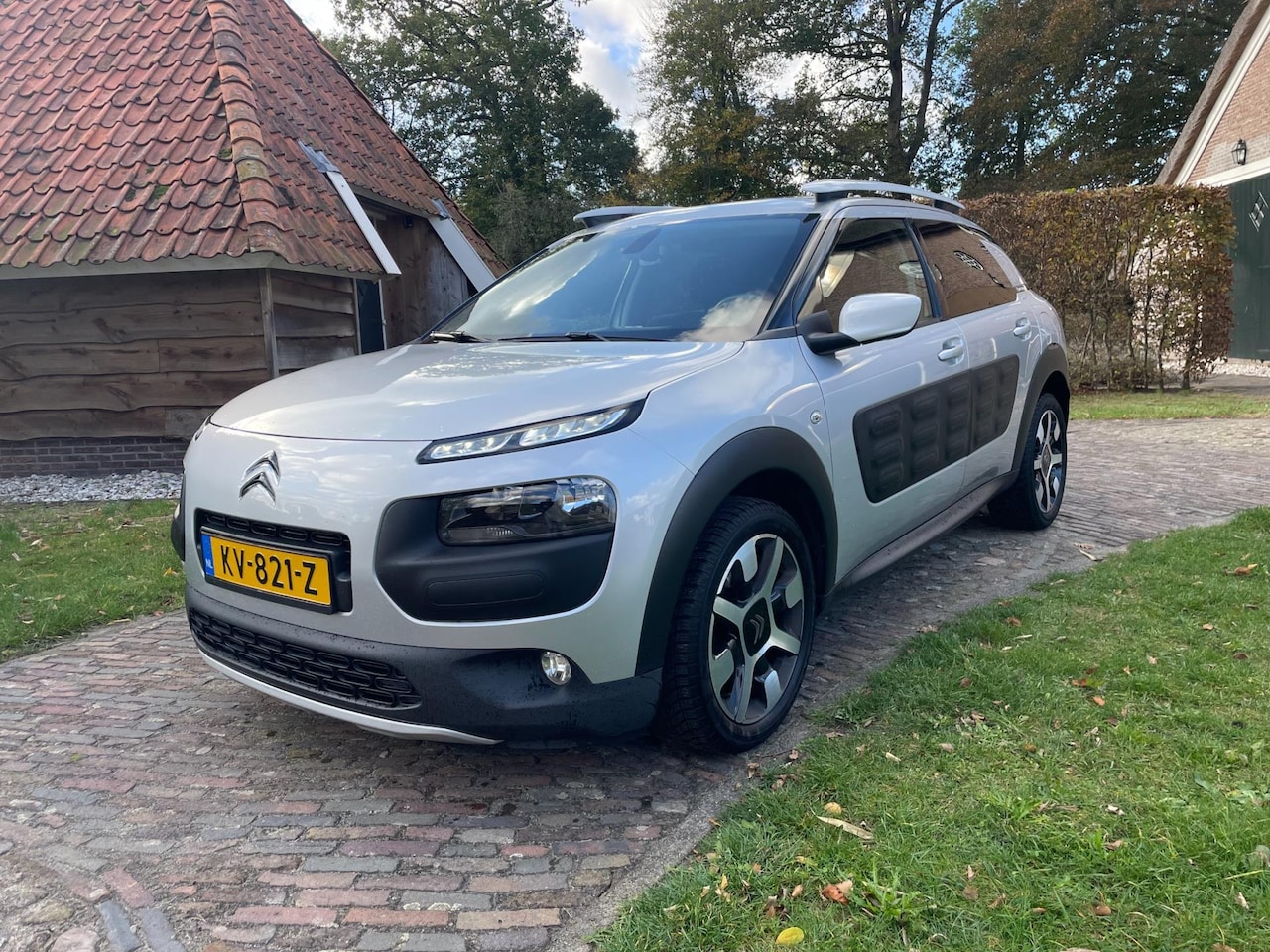 Citroën C4 Cactus - 1.2 PureTech Rip Curl-PANO-NAVI-LED-PDC-CAMERA- - AutoWereld.nl