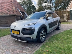 Citroën C4 Cactus - 1.2 PureTech Rip Curl-PANO-NAVI-LED-PDC-CAMERA