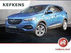 Opel Grandland X - 130pk Turbo Business+ (1ste eig. | AGR | Camera | LED | Climate | NAV.)