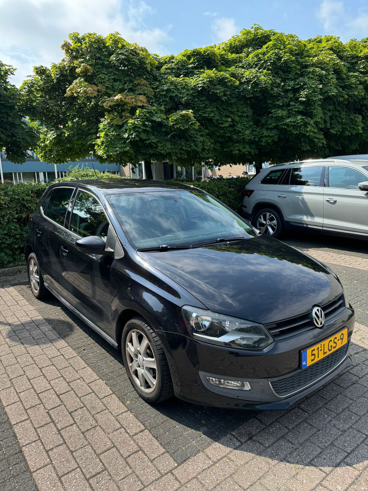 Volkswagen Polo - 1.4-16V Highline - AutoWereld.nl