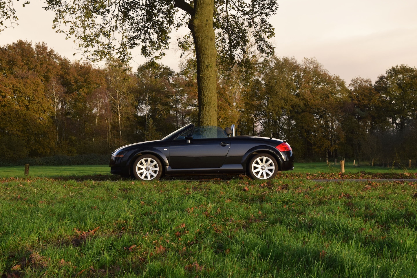 Audi TT Roadster - 1.8 5V Turbo quattro Ebonyschwartz – 152.316km Y2004 - AutoWereld.nl