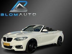 BMW 2-serie Cabrio - 230i 252PK M-SPORT H&K+MEMORY+KEYLESS