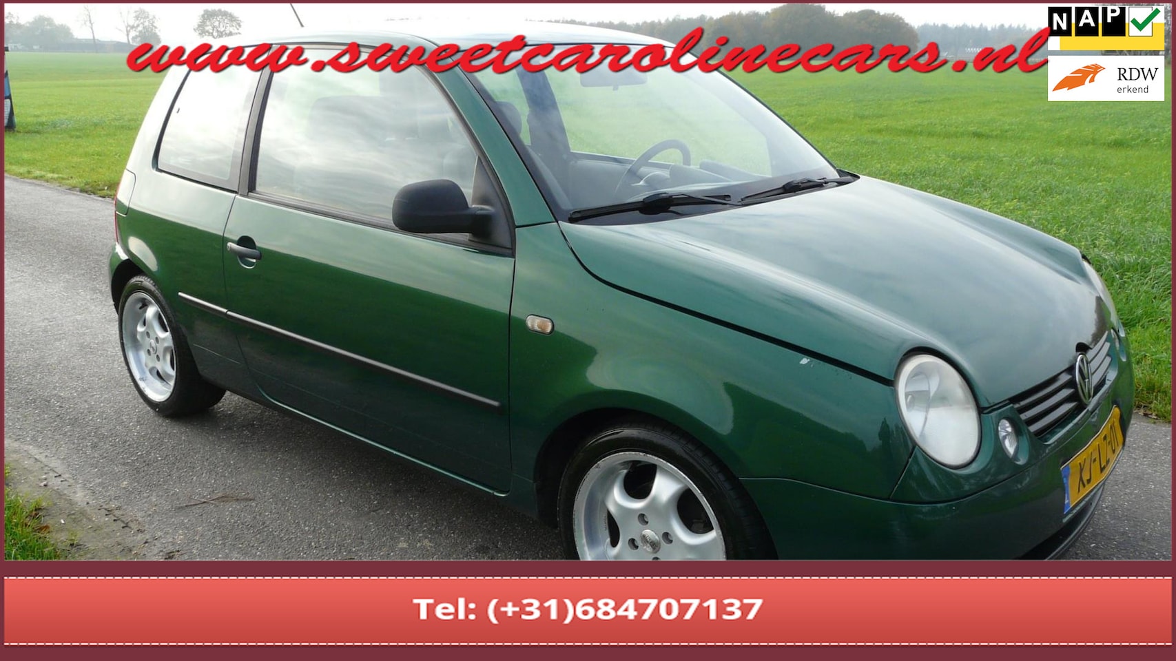 Volkswagen Lupo - 1.4-16V Trendline 1.4-16V Trendline,Customized!,Lmv's,Sportuitlaat en verlagingsset. - AutoWereld.nl