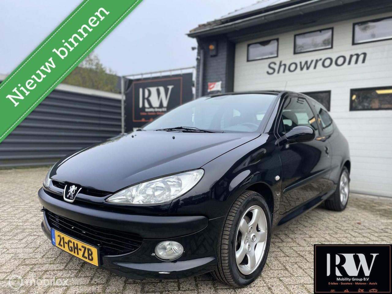 Peugeot 206 - 2.0-16V GTI technisch in goede staat! - AutoWereld.nl