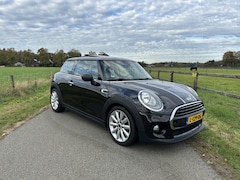 MINI One - 1.2 Chili 'Hot Chocolate' '14 Pano Navi Leder