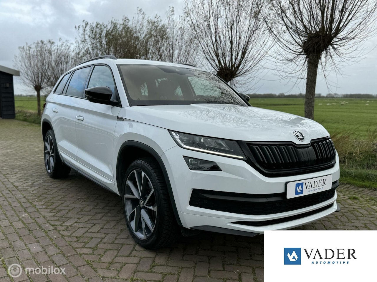 Skoda Kodiaq - 2.0 TSI 4x4 DSG Sportline 360 View ACC 20 Inch - AutoWereld.nl