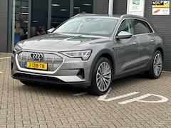 Audi e-tron - E-tron 50 quattro Launch edition 71 kWh/1STE EIG/CAMERA/NAVI/NETTE STAAT