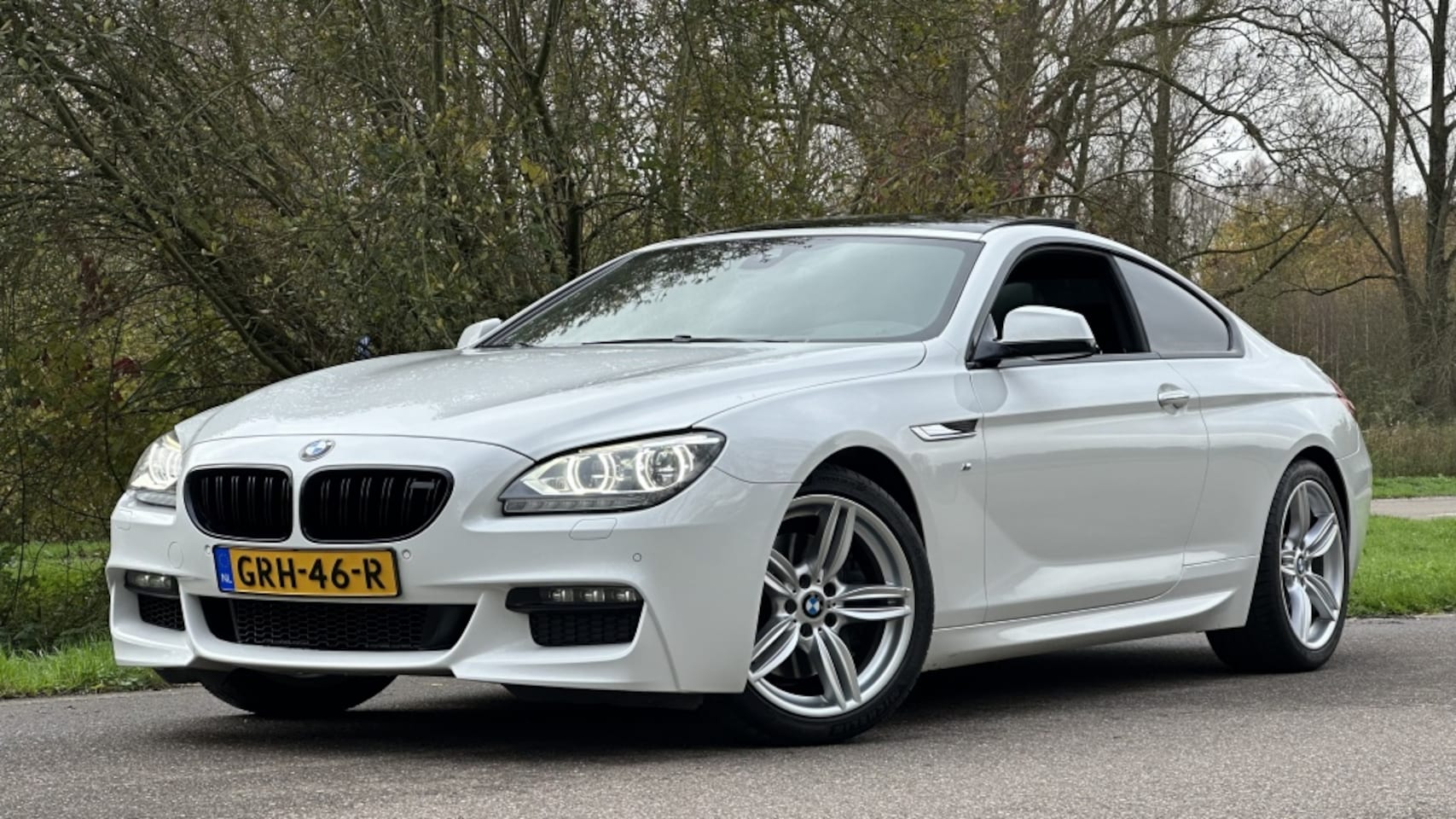 BMW 6-serie - 650i F13 _ Pano_Adaptive Cruise_Lane Assist - AutoWereld.nl