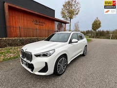 BMW X1 - XDrive30e M-sport, HUD, camera