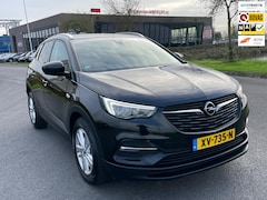 Opel Grandland X - 1.2 Turbo Business +, 1e eig, Geen import, Nap, Dealer oh