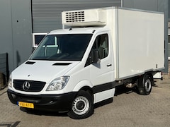 Mercedes-Benz Sprinter - 313 2.2 CDI thermoking thermo king koelauto koelwagen