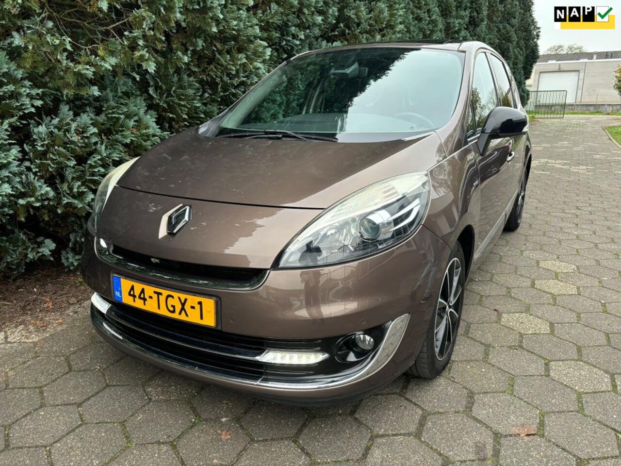 Renault Grand Scénic - 2.0 Bose Automaat - Panorama Dak - AutoWereld.nl