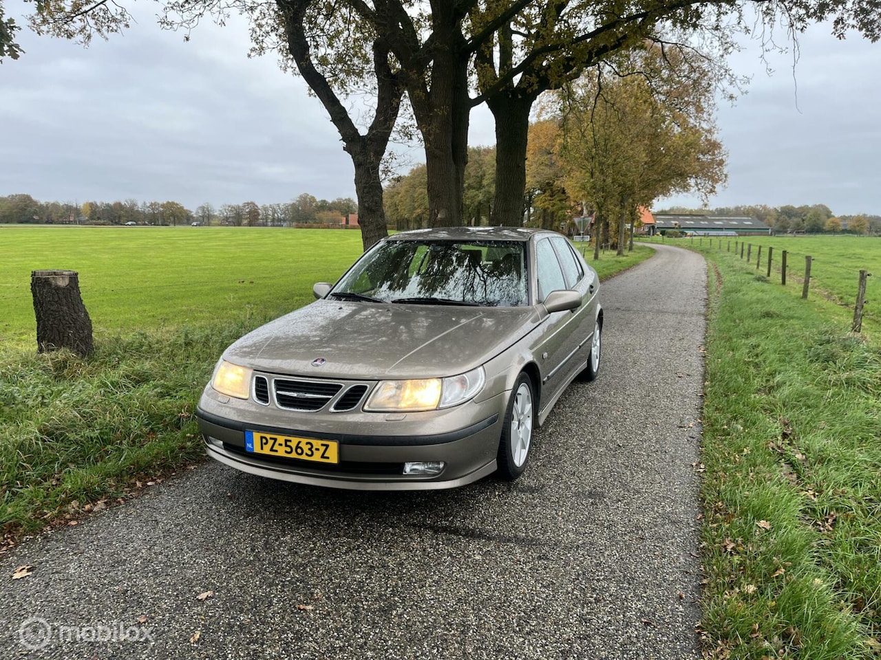 Saab 9-5 - 2.3 Turbo Aero 2.3 Turbo Aero - AutoWereld.nl