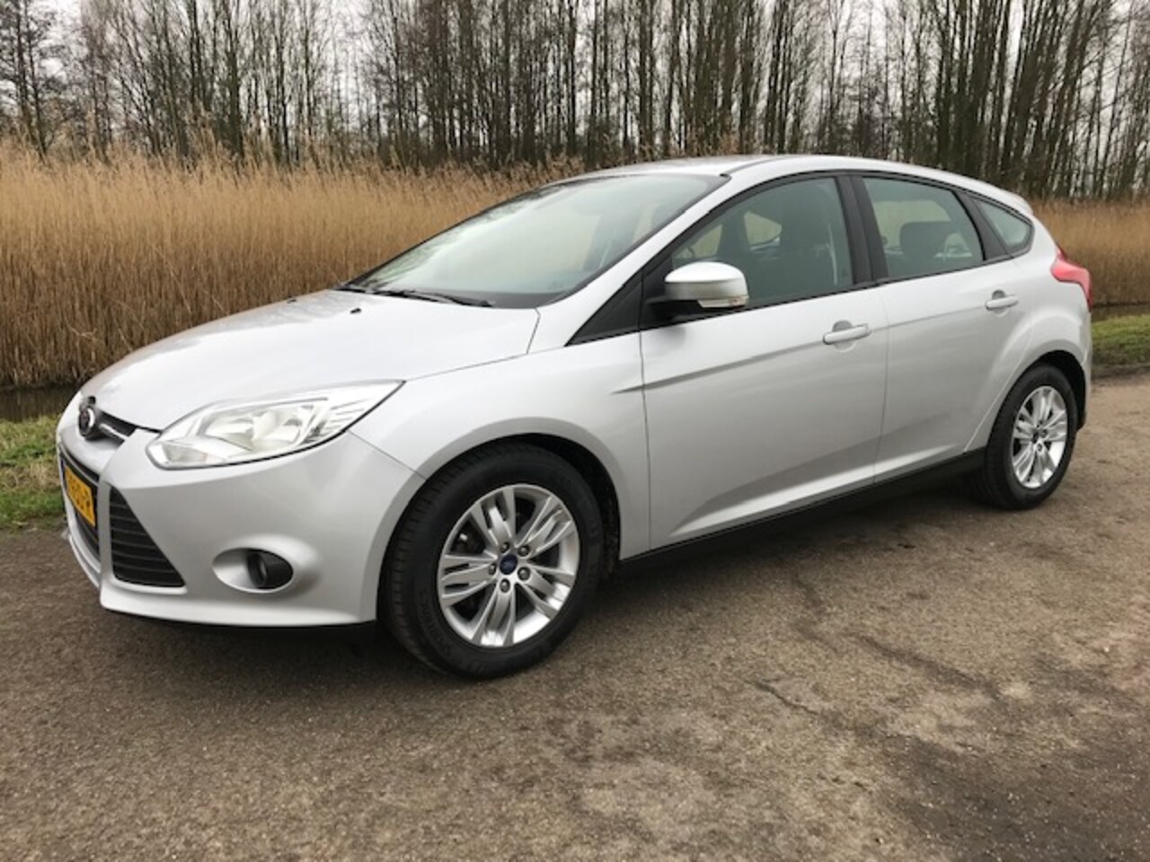 Ford Focus - 1.6 TI-VCT 125pk 5-deurs Powershift Titanium - AutoWereld.nl