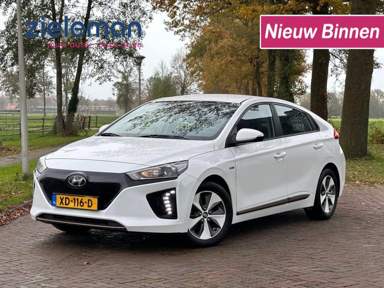 Hyundai IONIQ - Comfort EV 30 kWh - Carplay, Navi, Camera (9.845 NA SUBSIDIE) - AutoWereld.nl