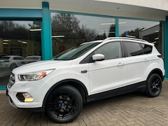 Ford Kuga - 1.5 TITANIUM Navi, CarPlay, Panorama, LED, PDC, TrHaak, 17Inch