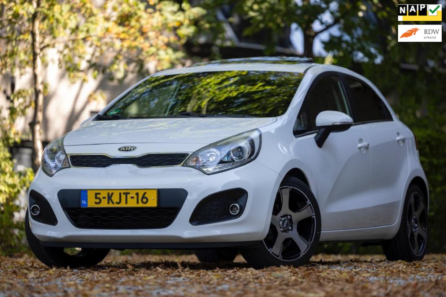 Kia Rio - 1.2 CVVT Super Pack | Airco | Panoramadak| Achteruitrijcamera - AutoWereld.nl