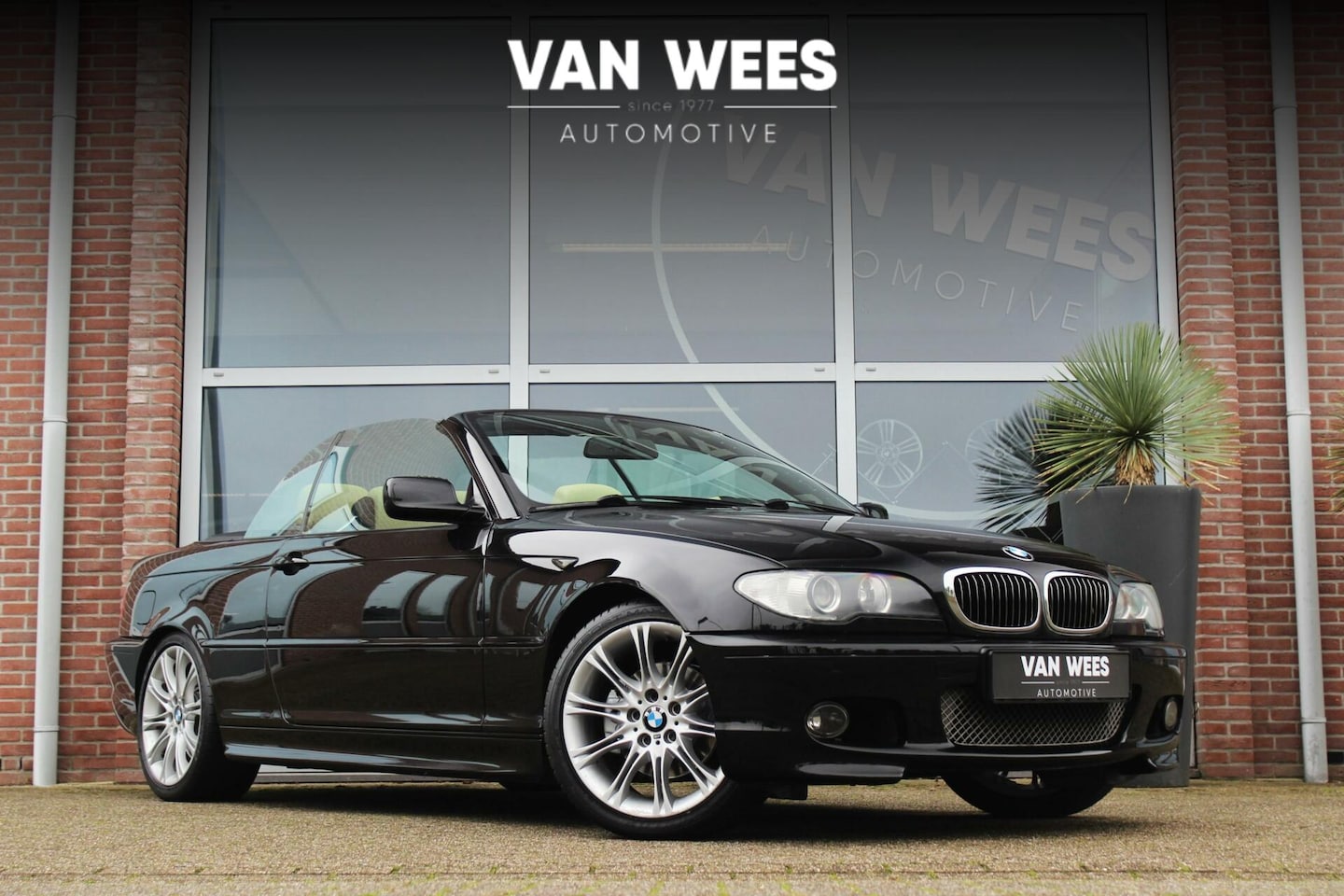 BMW 3-serie Cabrio - 320Ci E46 Special Executive Facelift | Individual | M-pakket | 6 cilinder | 170 pk | Handb - AutoWereld.nl