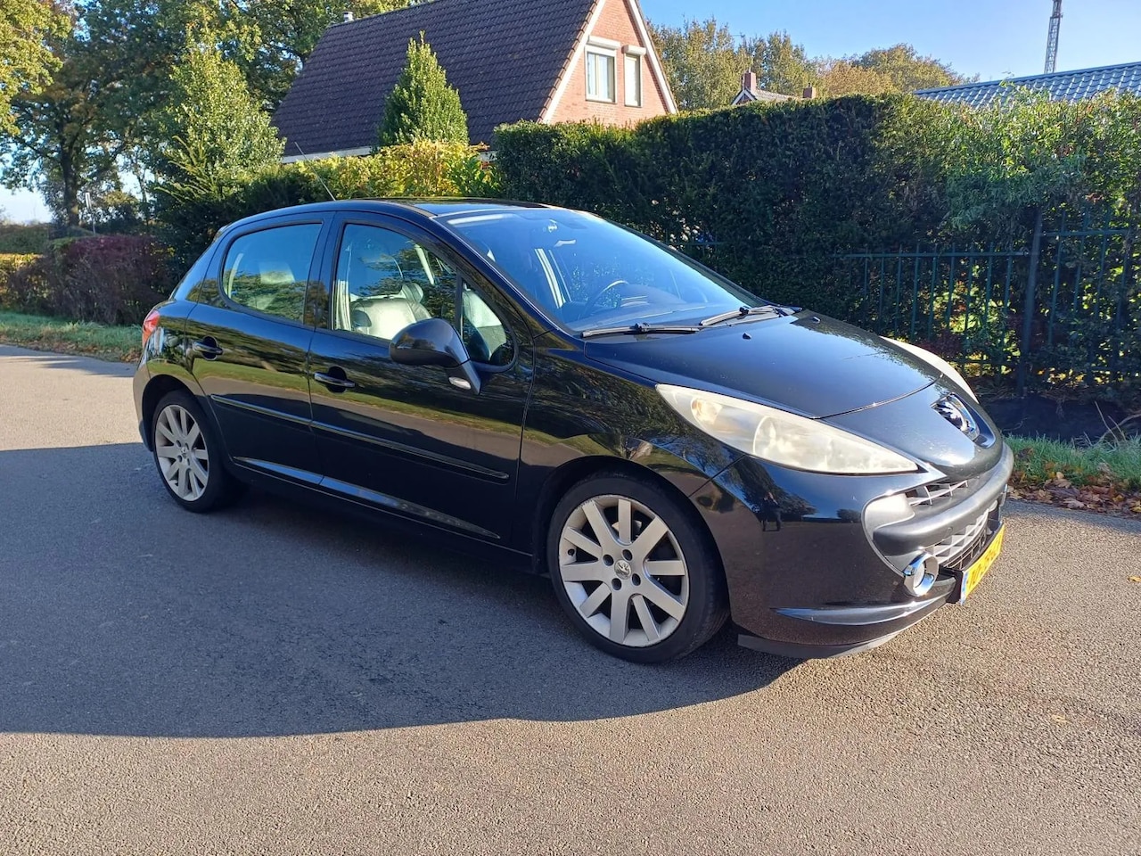 Peugeot 207 - 1.6 hdi - AutoWereld.nl