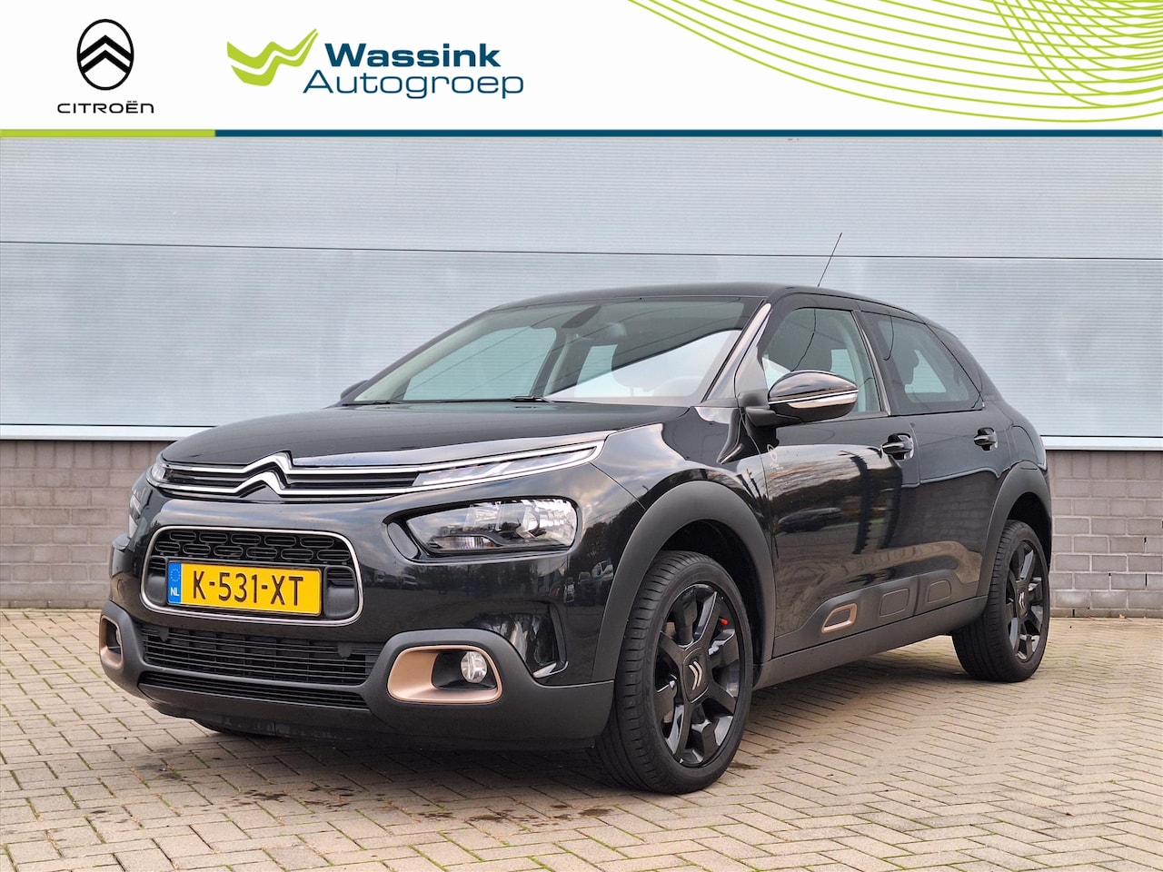 Citroën C4 Cactus - 1.2 PureTech 110pk Origins | Navigatie | Climate Control | Cruise Control | Parkeersensore - AutoWereld.nl