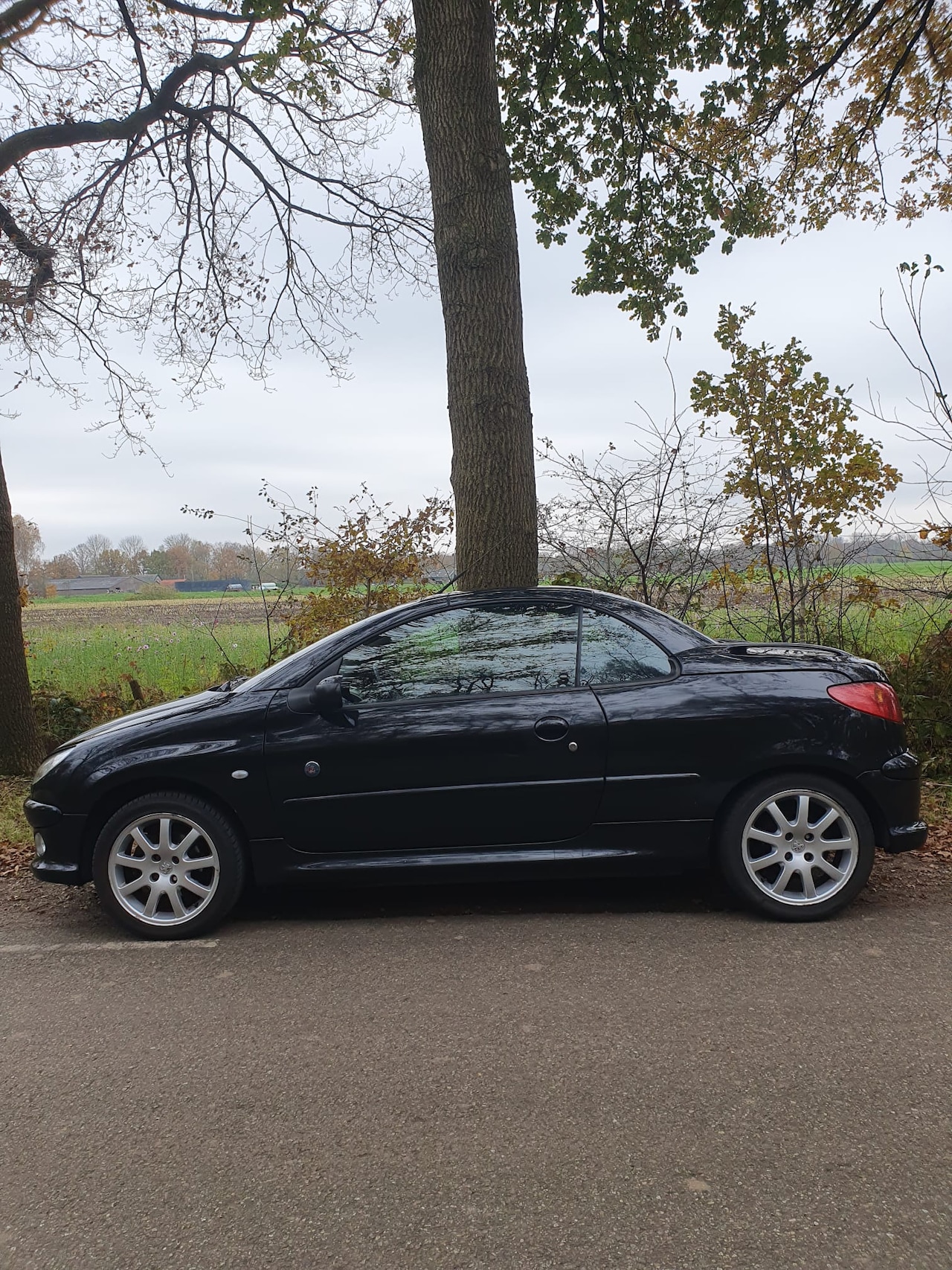 Peugeot 206 CC - 1.6-16V Roland Garros - AutoWereld.nl